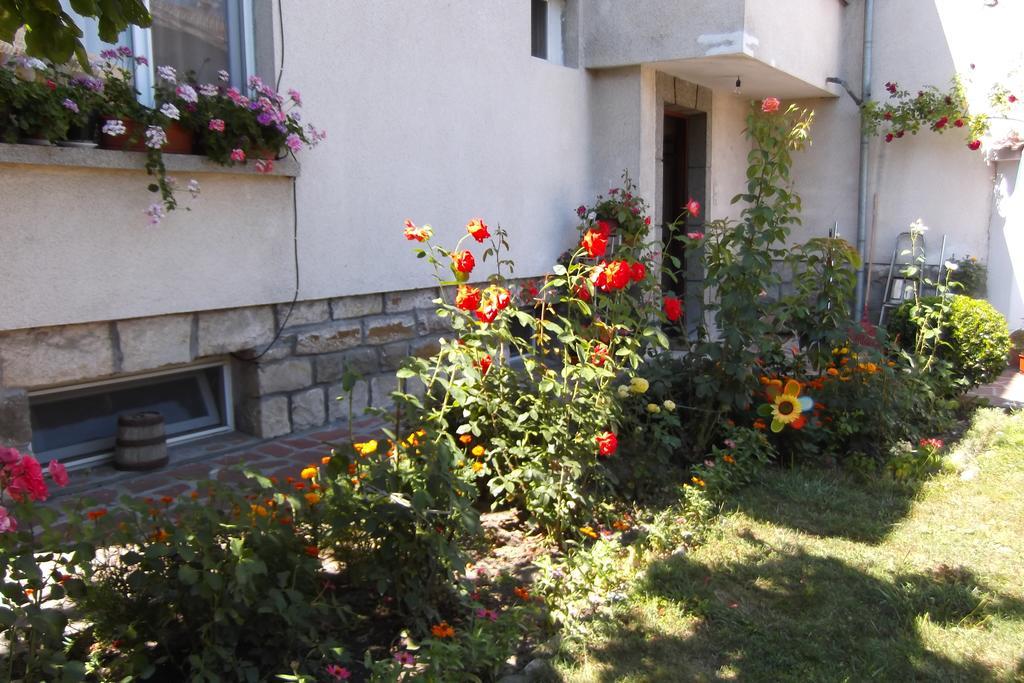 מלון טריאבנה Borova House מראה חיצוני תמונה