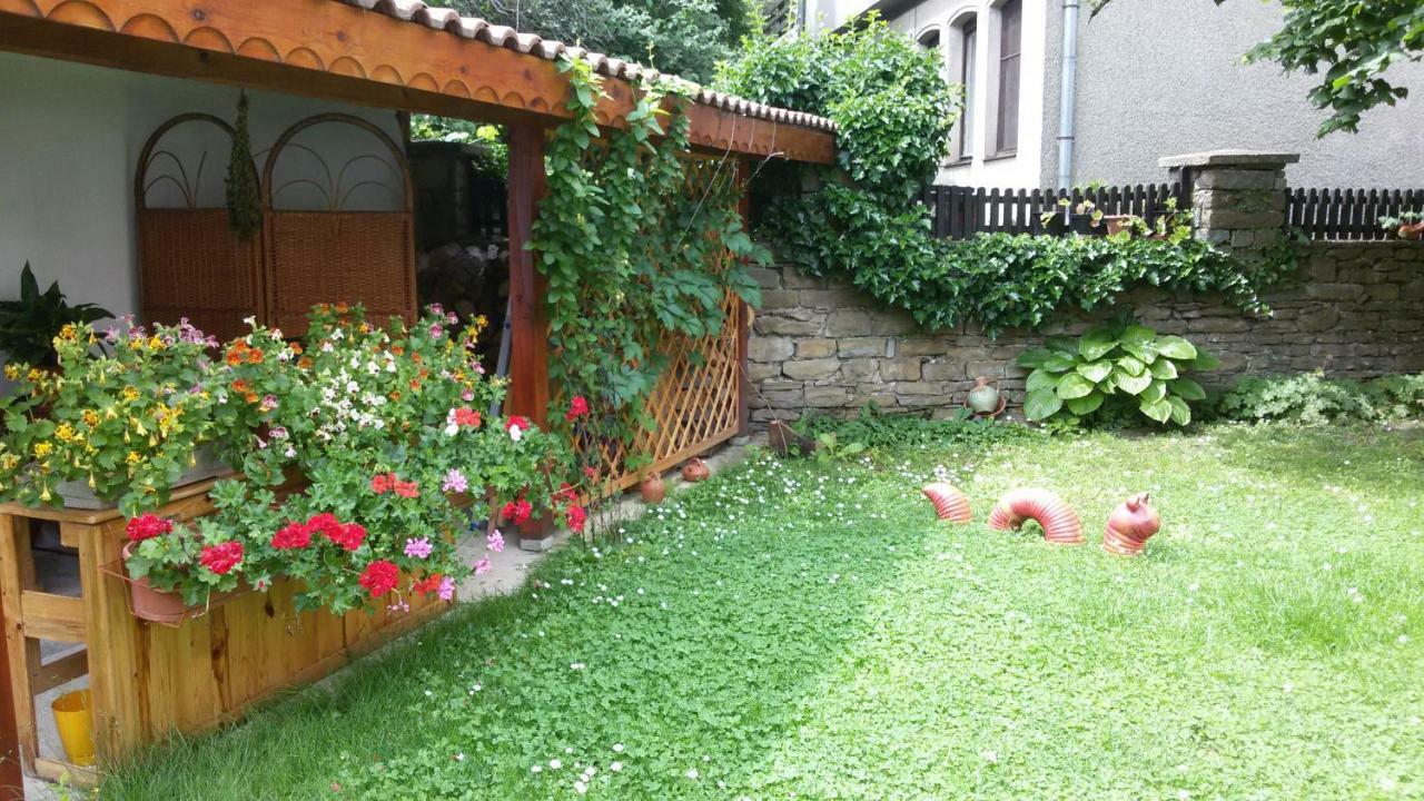 מלון טריאבנה Borova House מראה חיצוני תמונה